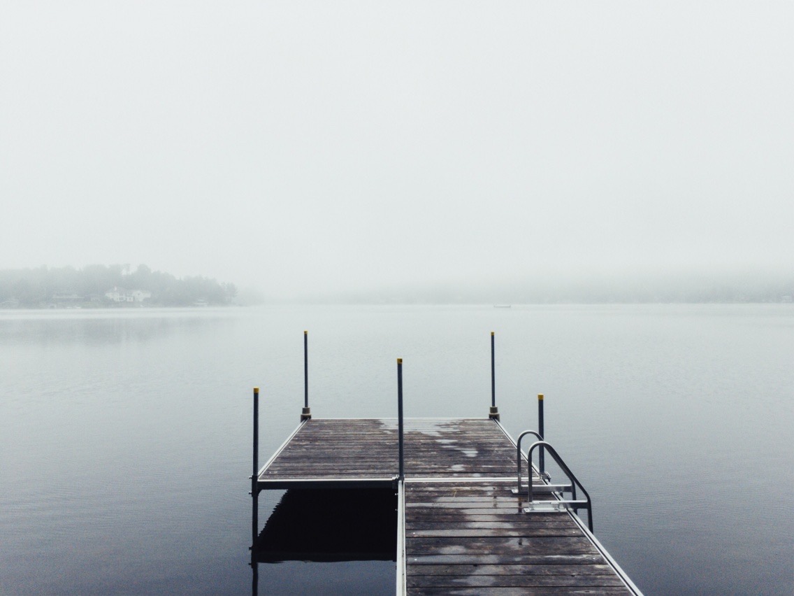 Archive/Chapitre 24/Site Web/Section/assets/Nature/portfolio - 240422_IMG_6172.jpeg